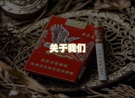 关于我们